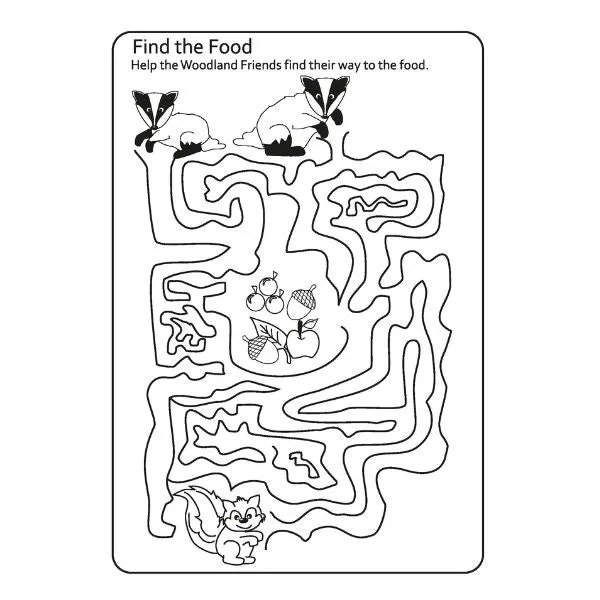 A4 My Woodland Friends Advanced Colouring Book - Creatures High Quality Paper Relaxing Art Therapy