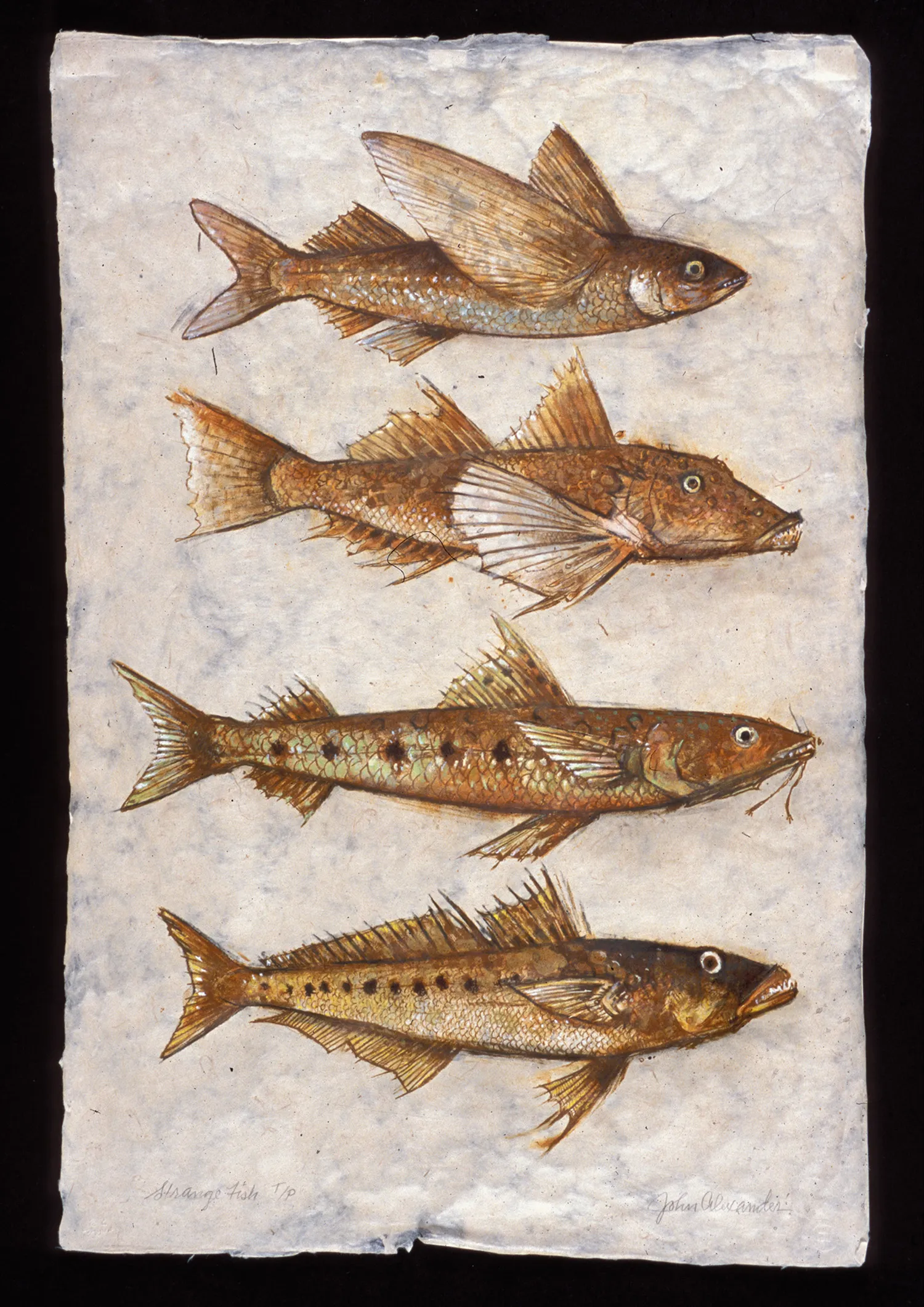 Alexander, John "Strange Fish"