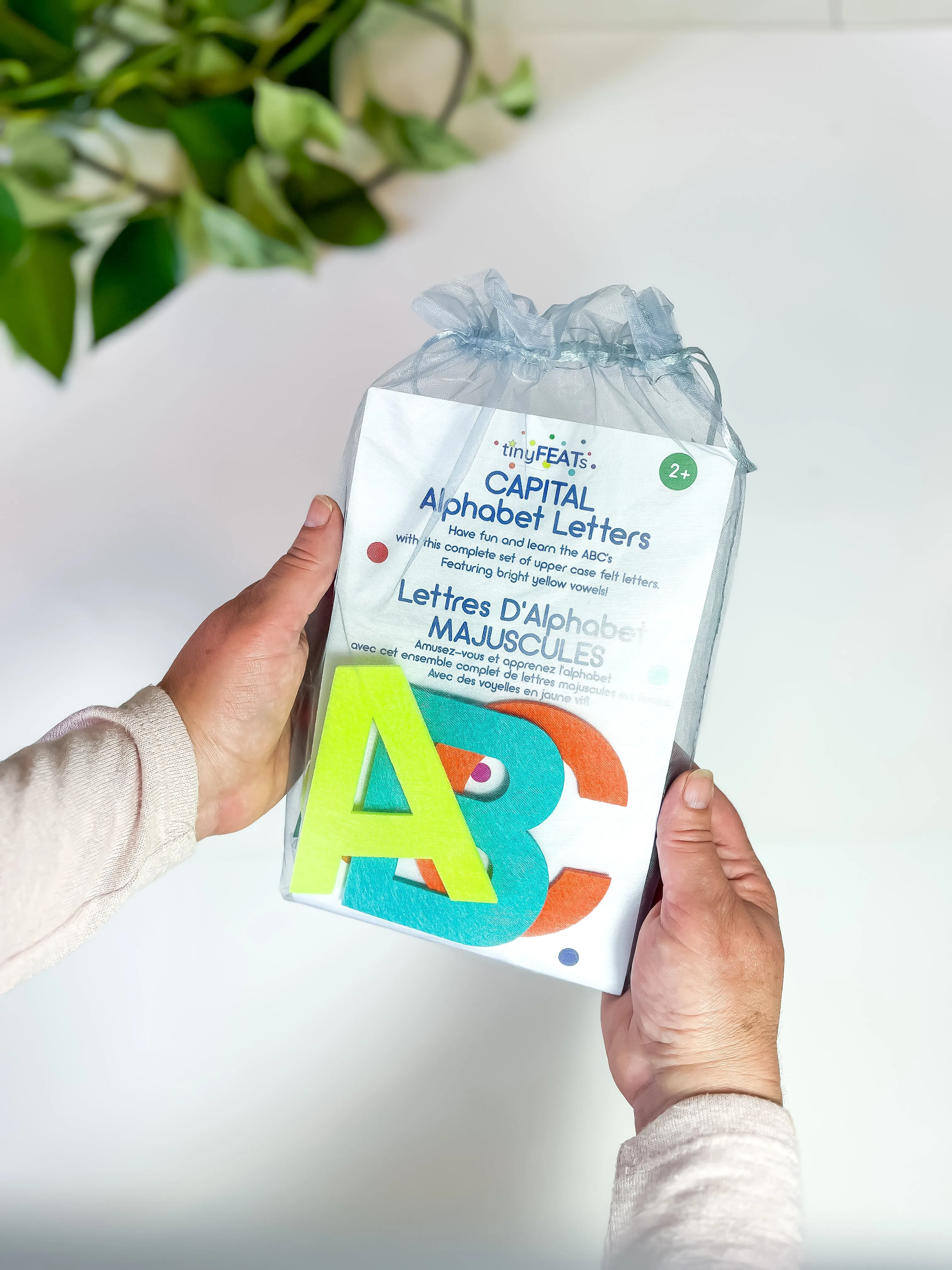 Alphabet Letters Capitals Set