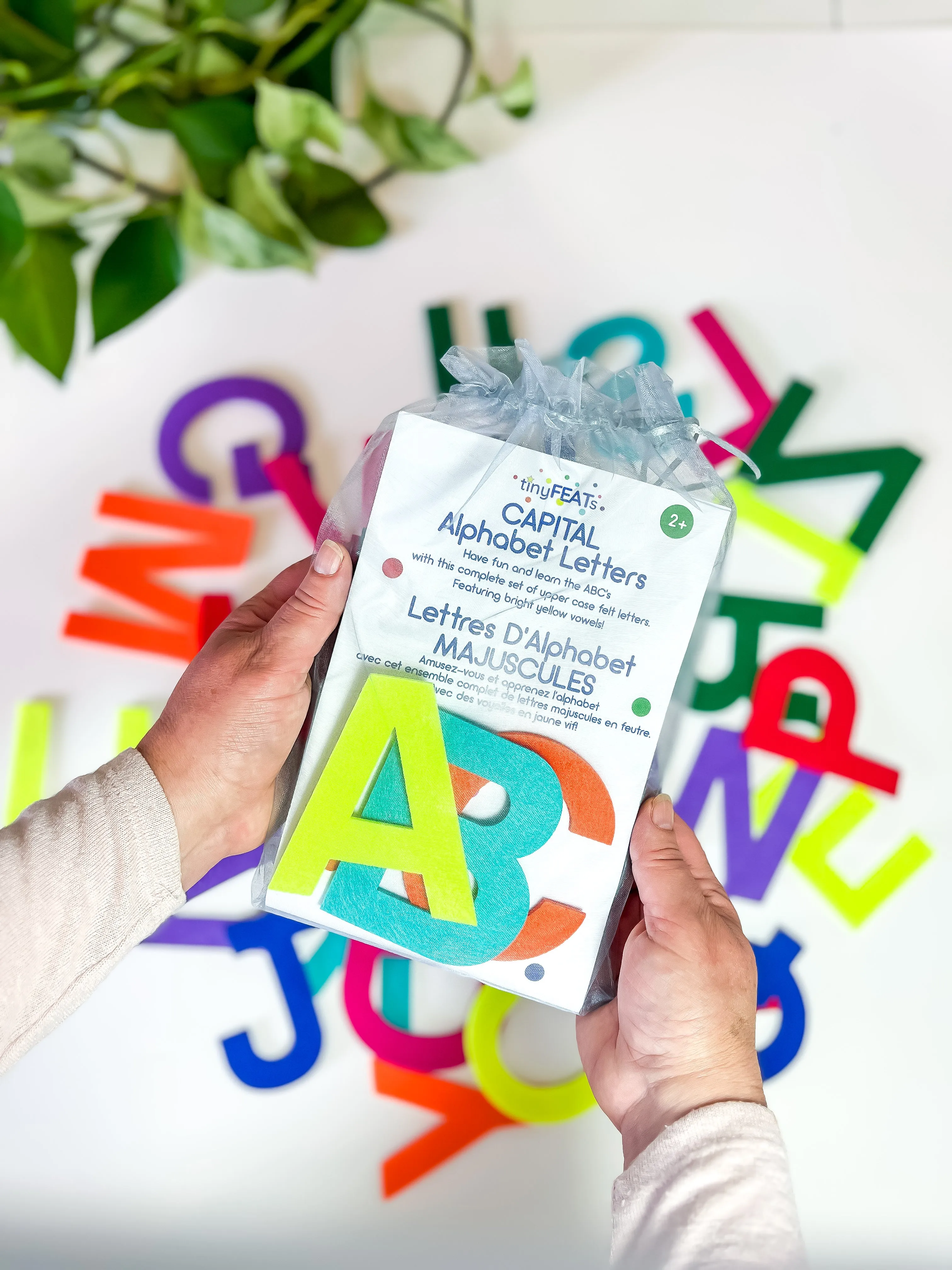 Alphabet Letters Capitals Set