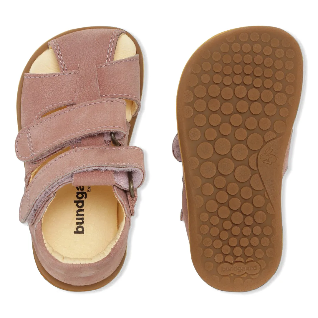 Bundgaard Balder – Rose