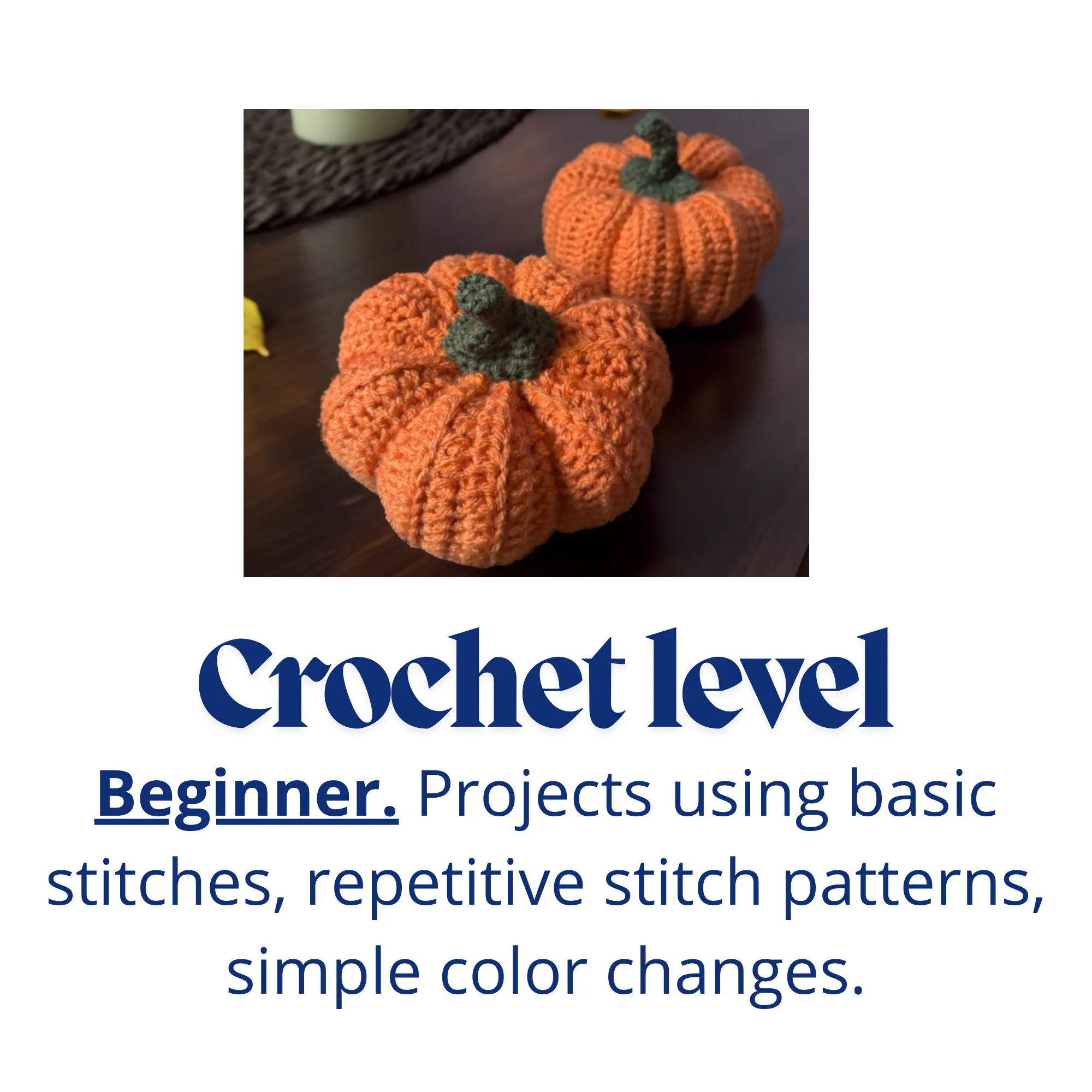 Pumpkin Crochet Pattern ONLY Beginner Crochet